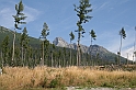 slawkowskiszczyt09.2008 011